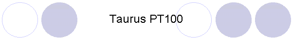 Taurus PT100