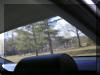 Inside view of the back window