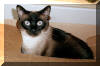 China in box