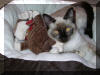 Ming in her bed with toy3