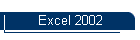 Excel 2002